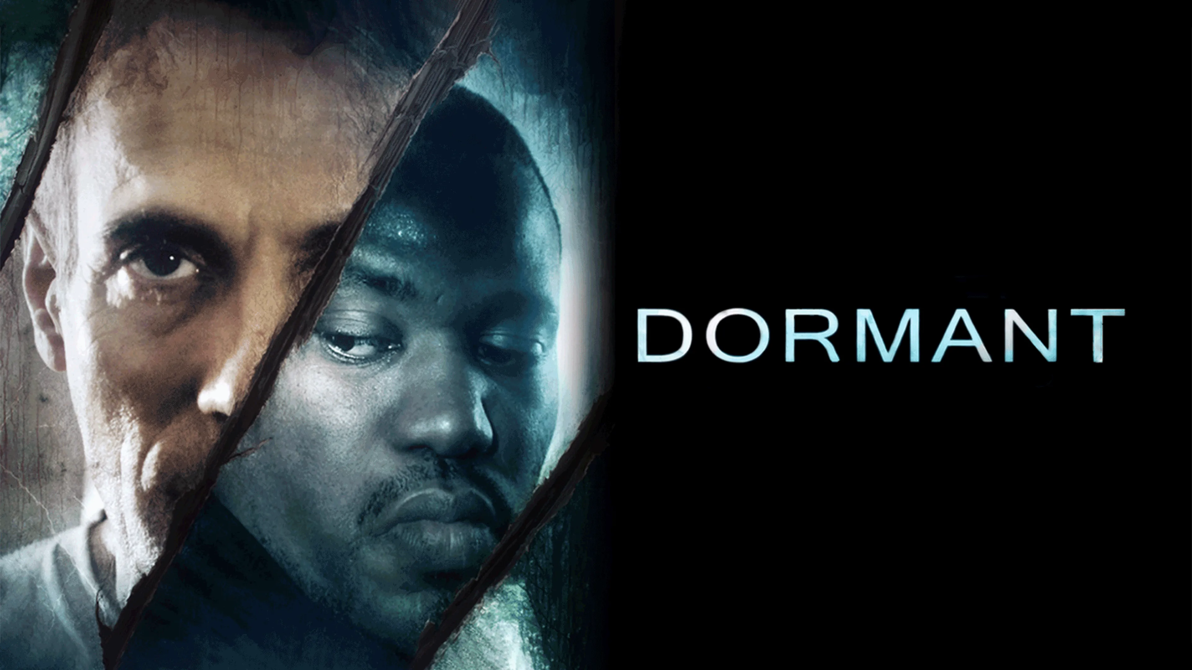 Dormant poster